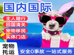 珠海空运代理国际宠物托运 【国
